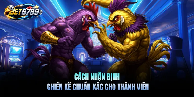 Đá Gà Trực Tiếp BET6789 - Chọi Kê Hấp Dẫn Mở Ra Mỗi Ngày 3 Cách nhận định chiến kê chuẩn xác cho thành viên