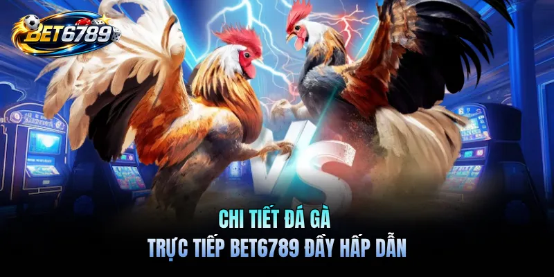 Đá Gà Trực Tiếp BET6789 - Chọi Kê Hấp Dẫn Mở Ra Mỗi Ngày 1 Chi tiết đá gà trực tiếp BET6789 đầy hấp dẫn